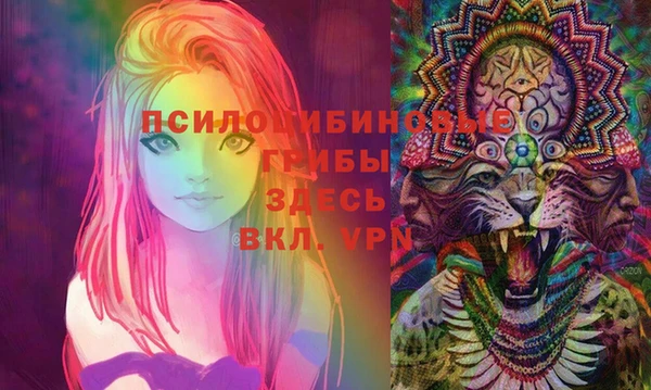 тгк Алзамай