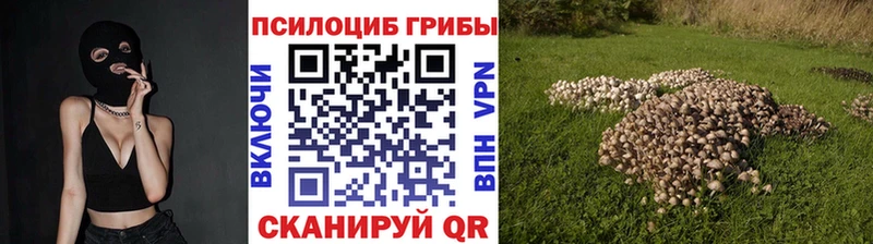 Псилоцибиновые грибы GOLDEN TEACHER  Новочебоксарск 